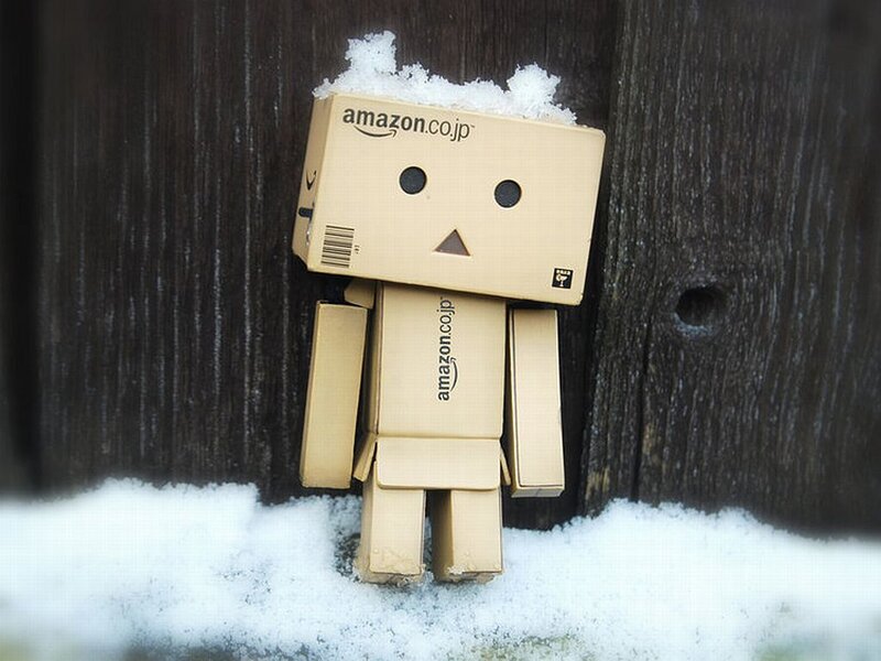 Danbo Figure in Snow