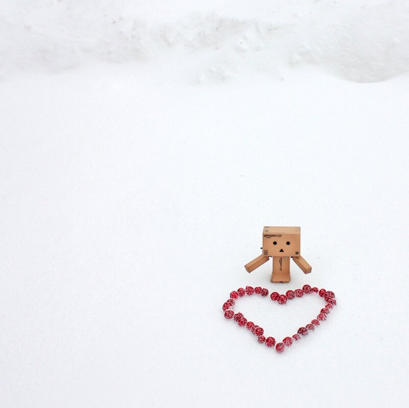 Danbo Figure in Snow — White, Serene