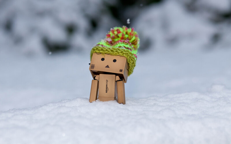 Danbo Figure in Snow — White