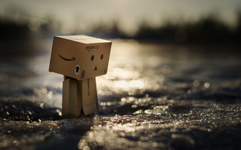 Danbo Figure in Water