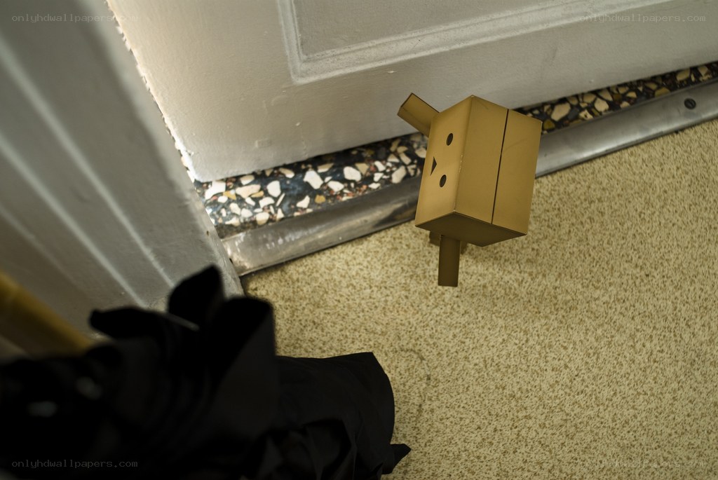 Danbo figure near door