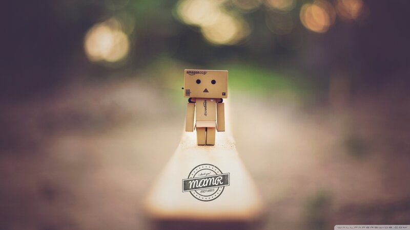 Danbo Figure on a Surface