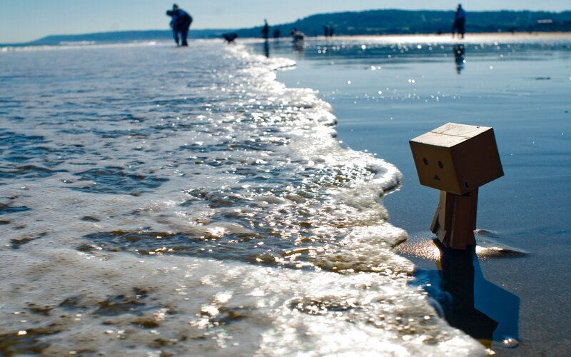 Danbo Figure on Beach — Blue, Serene, Afternoon, Photograph, Ocean Waves, People