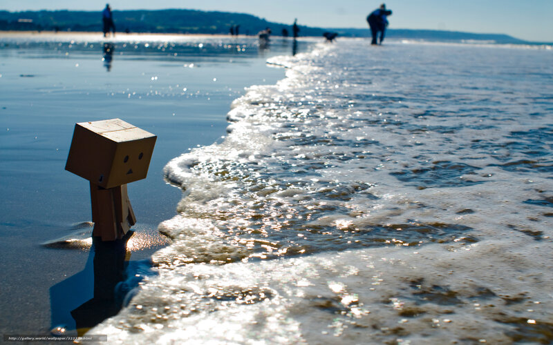 Danbo Figure on Beach — Blue