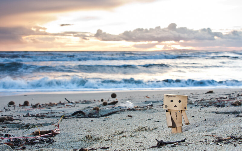 Danbo Figure on Beach — Brown, Serene