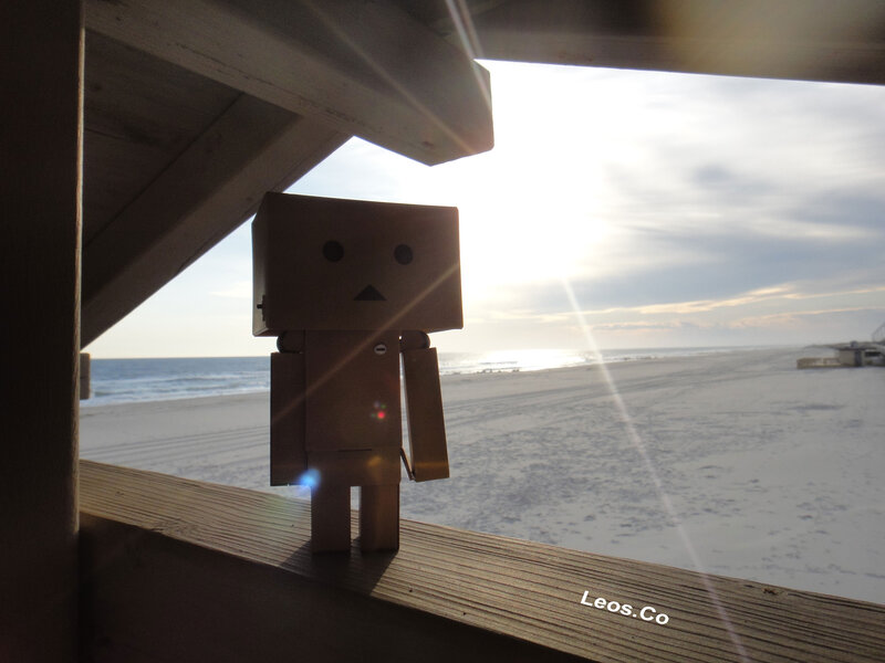 Danbo Figure on Beach — Brown