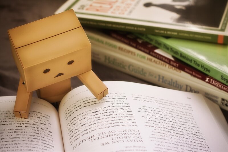 Danbo Figure on Books