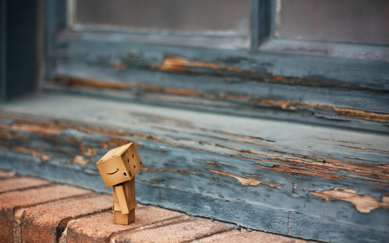 Danbo Figure on Brick
