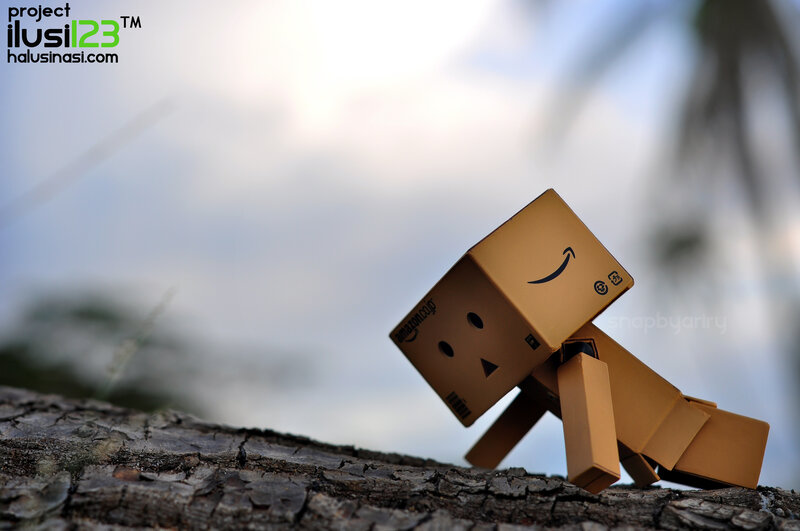Danbo Figure on Log
