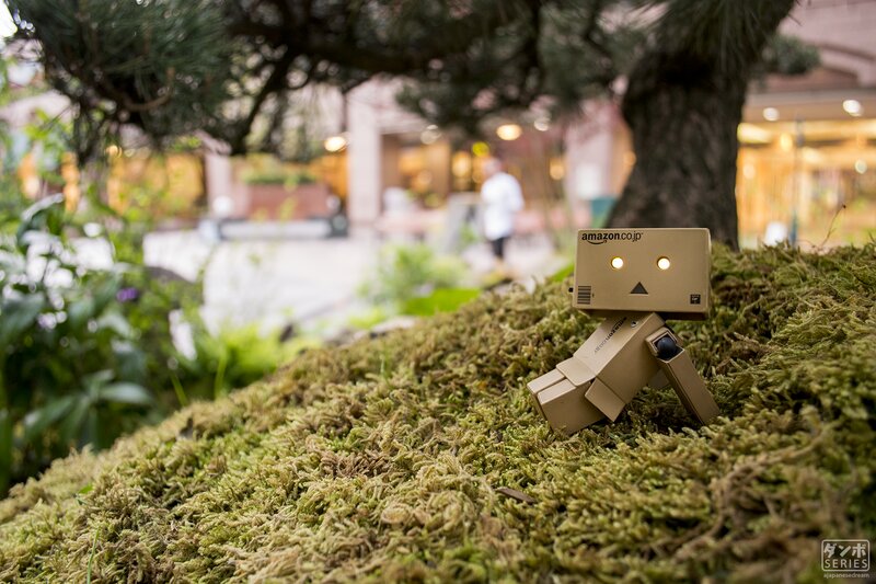 Danbo Figure on Moss
