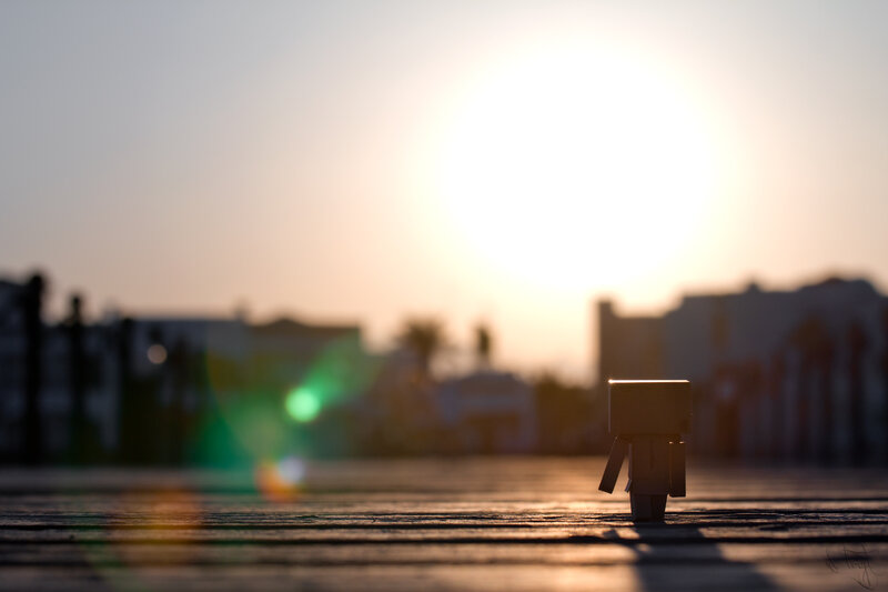 Danbo Figure on Pavement