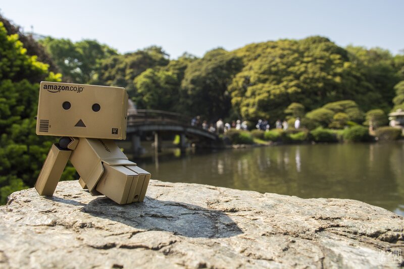 Danbo Figure on Rock — Green