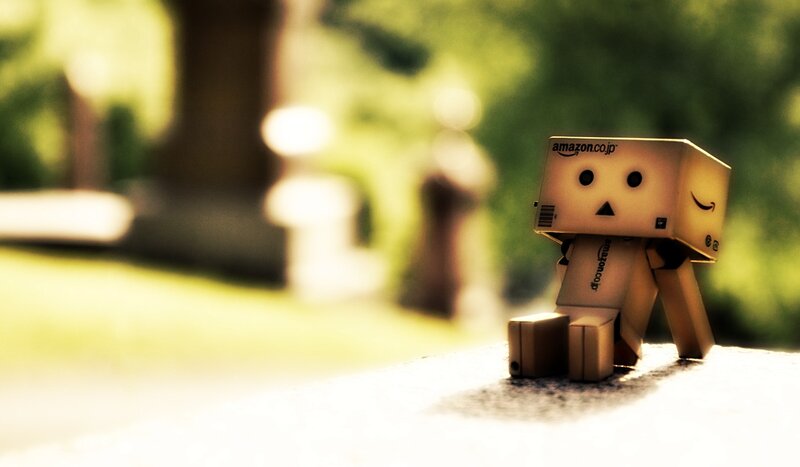 Danbo Figure on Surface — Brown