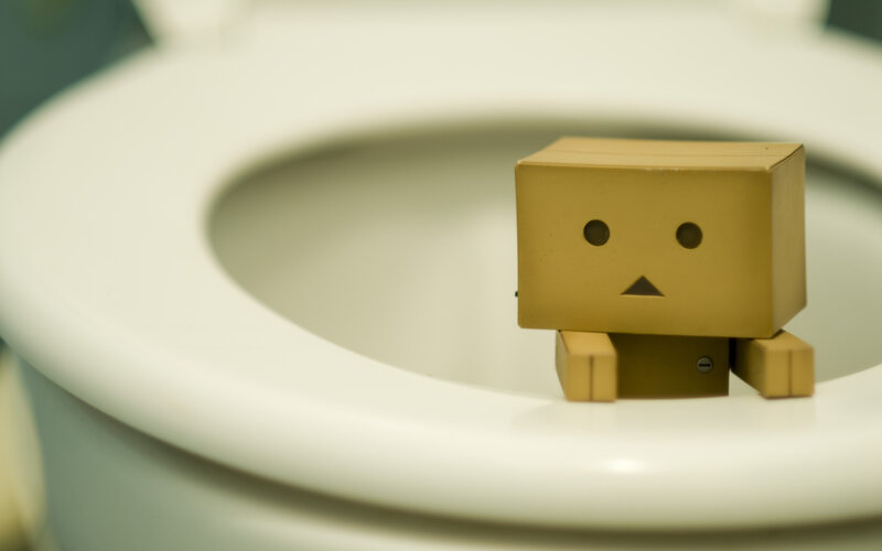 Danbo Figure on Toilet
