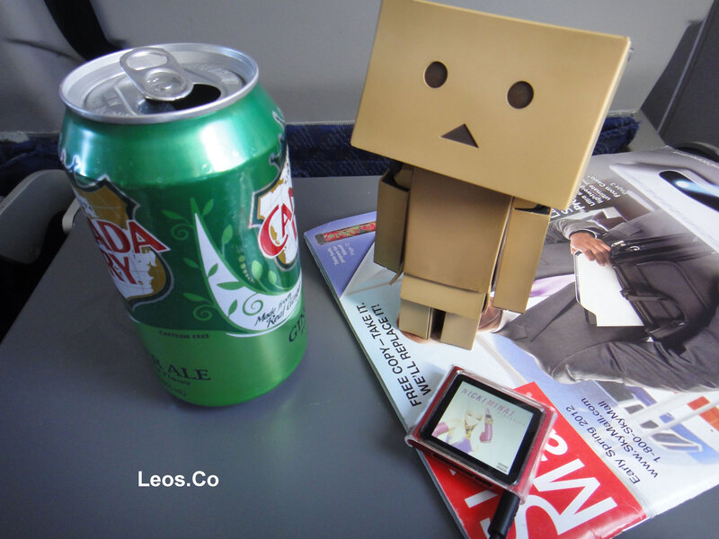 Danbo Figure on Tray Table — Green
