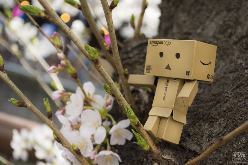 Danbo Figure on Tree — Brown
