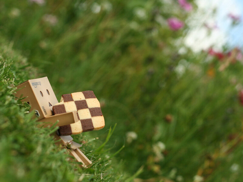 Danbo Figure with Cookie