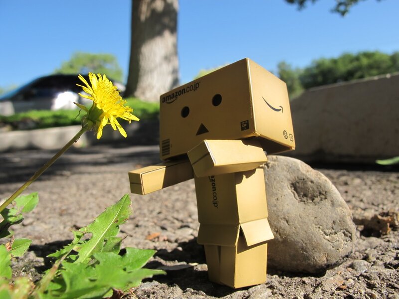 Danbo Figure with Dandelion
