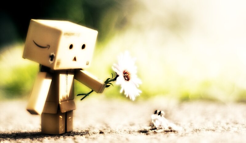 Danbo Figure with Flower — Brown
