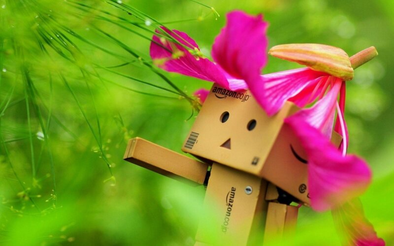 Danbo Figure with Flower — Green