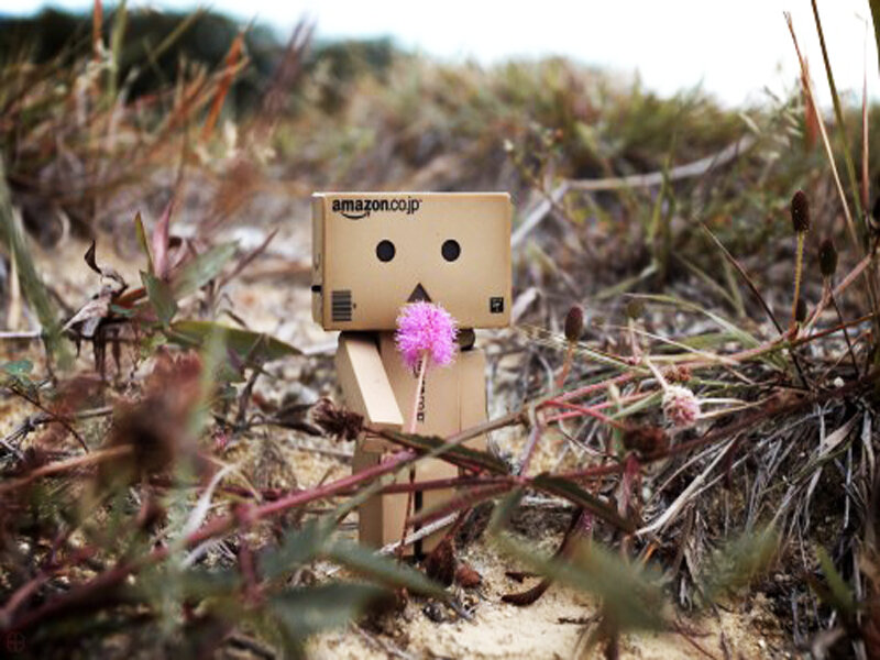 Danbo Figure with Flower