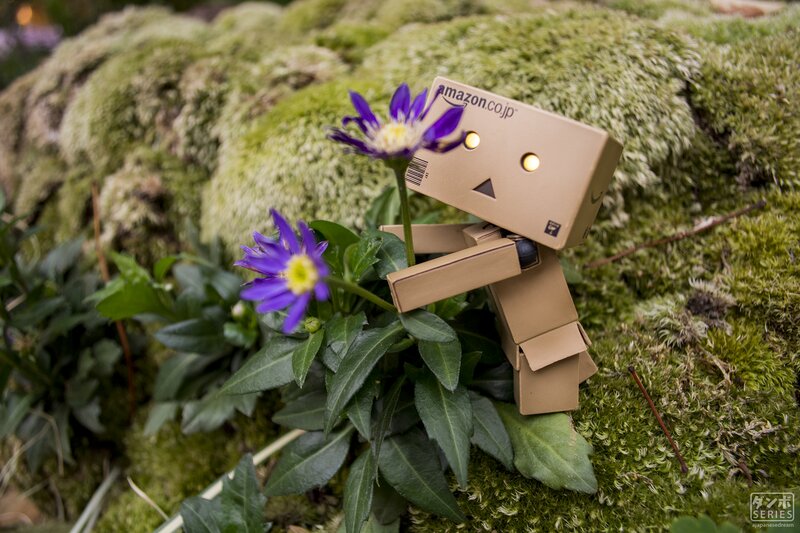 Danbo Figure with Flowers — Green