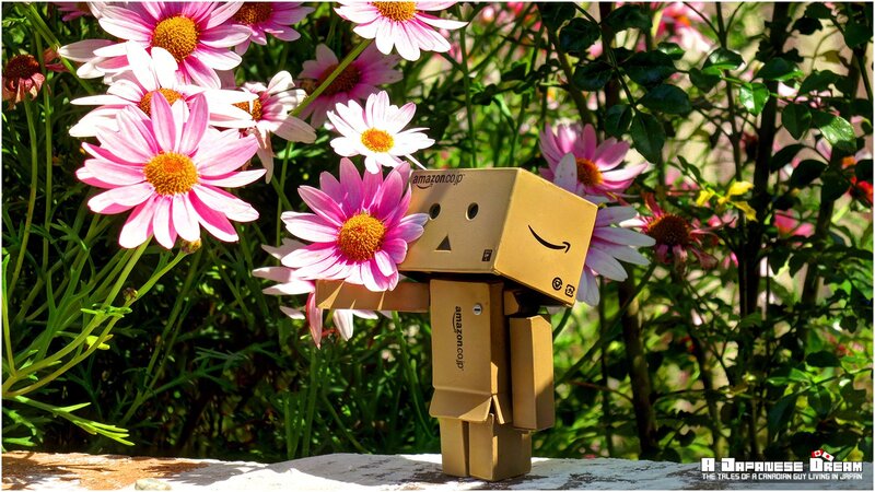 Danbo Figure with Flowers — Pink