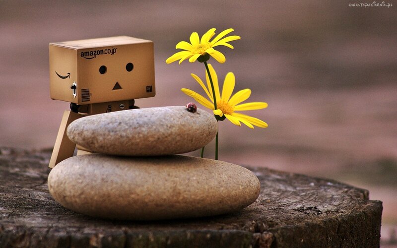 Danbo Figure with Flowers — Yellow