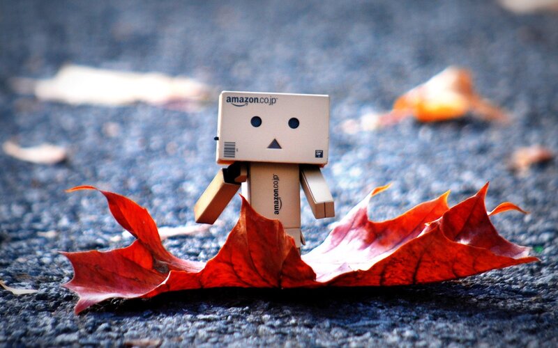 Danbo Figure with Leaves