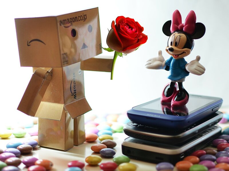 Danbo Figure with Rose