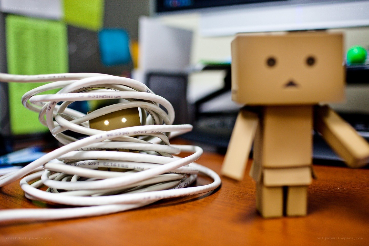 Danbo figure with tangled cables