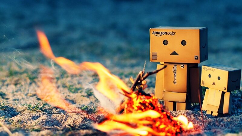 Danbo Figures by Fire