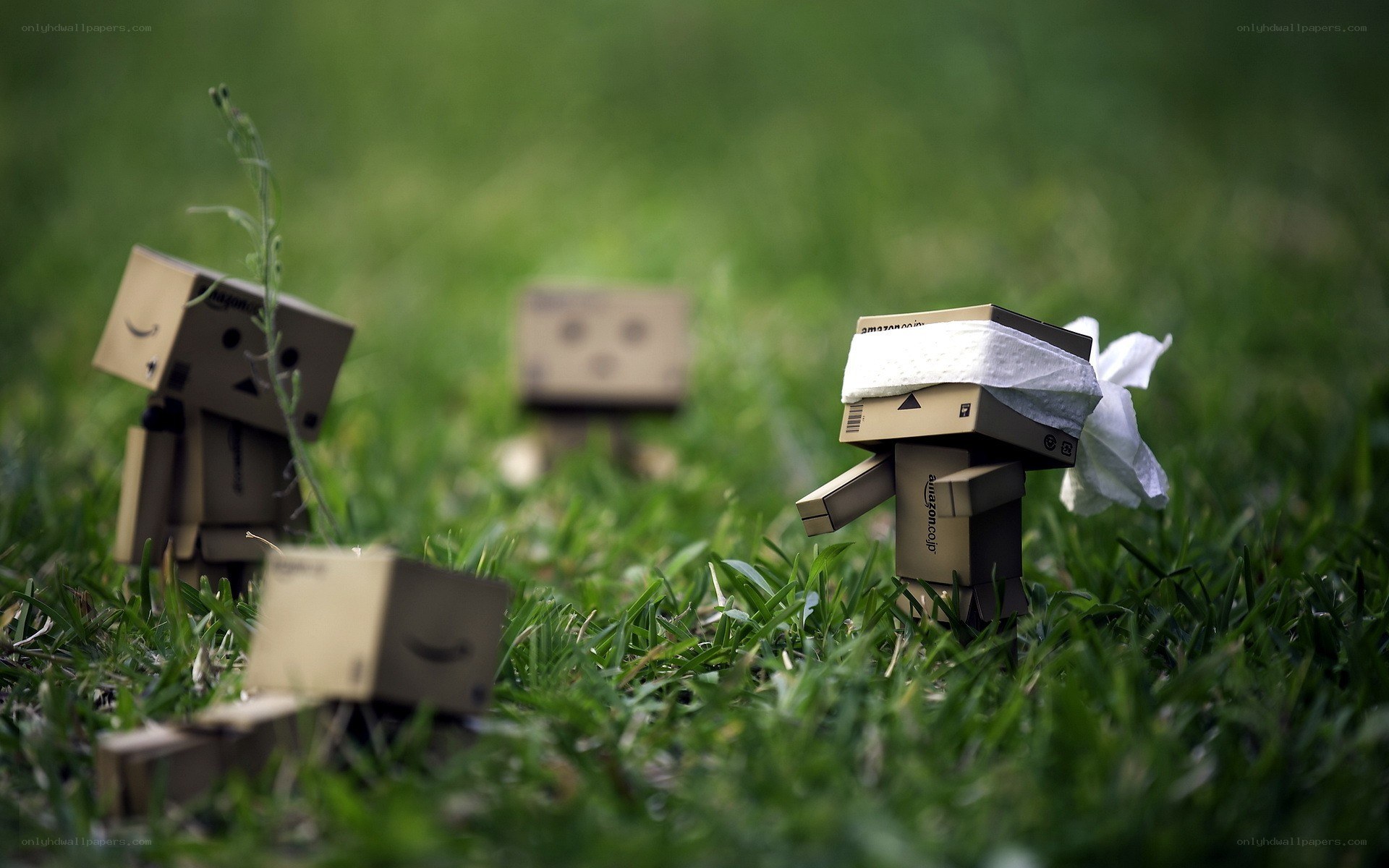 Danbo figures in a grassy field