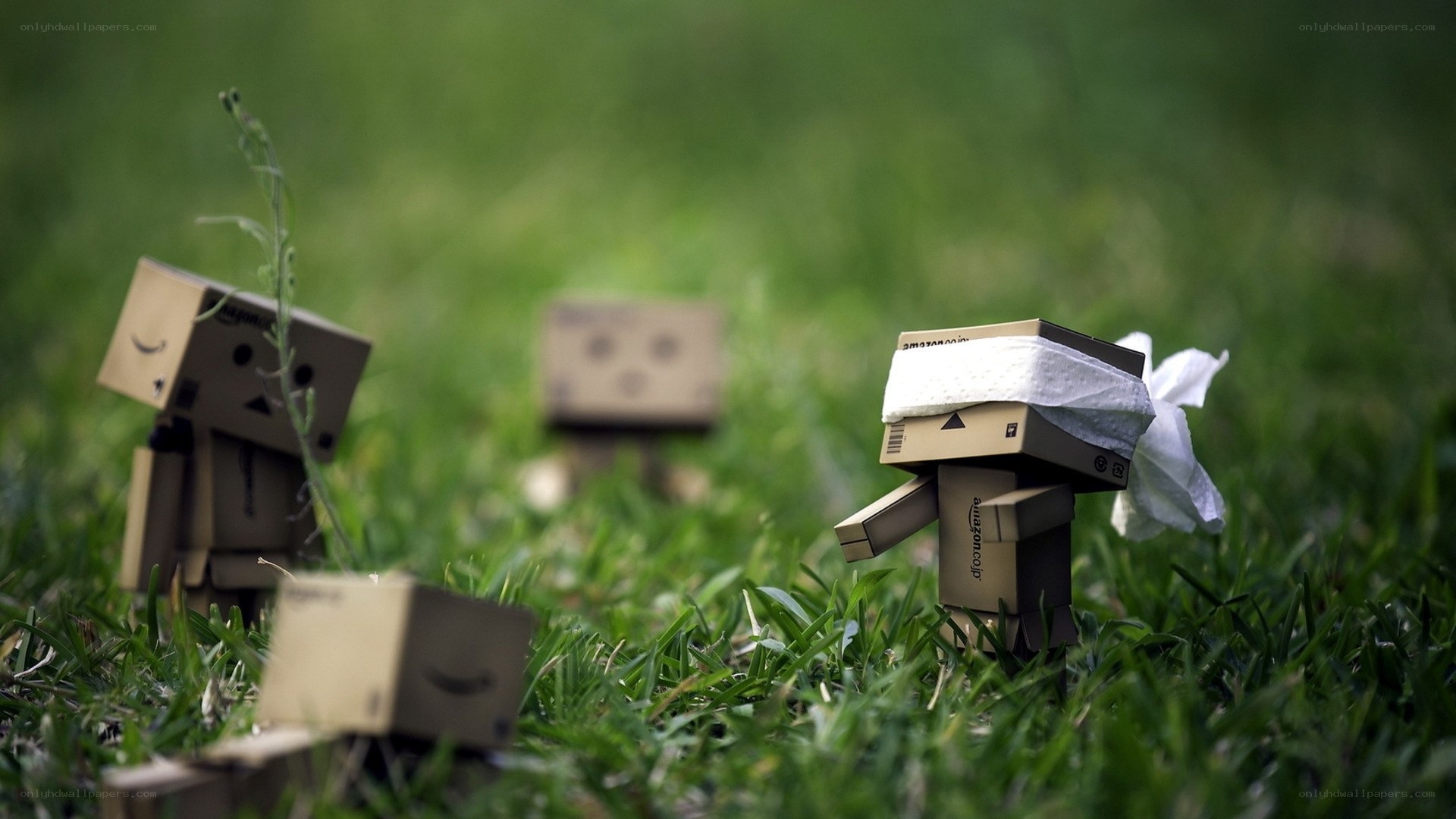 Danbo figures in grass