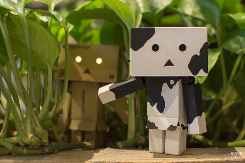 Danbo Figures in Plants