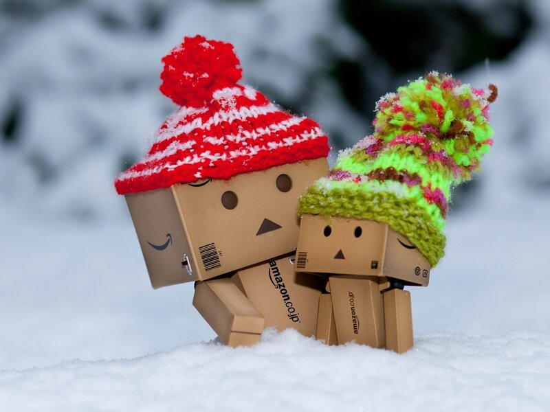 Danbo Figures in Snow — White