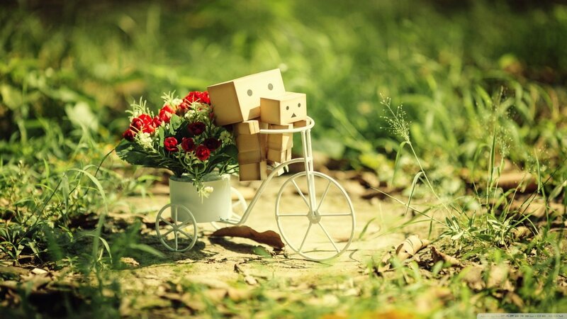 Danbo Figures on Bicycle — Green