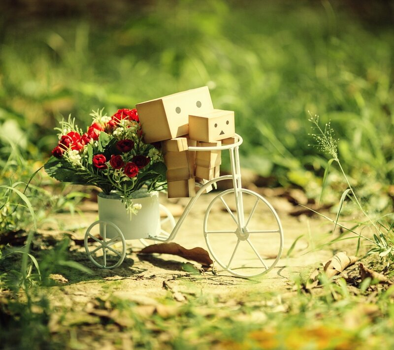 Danbo Figures on Bicycle