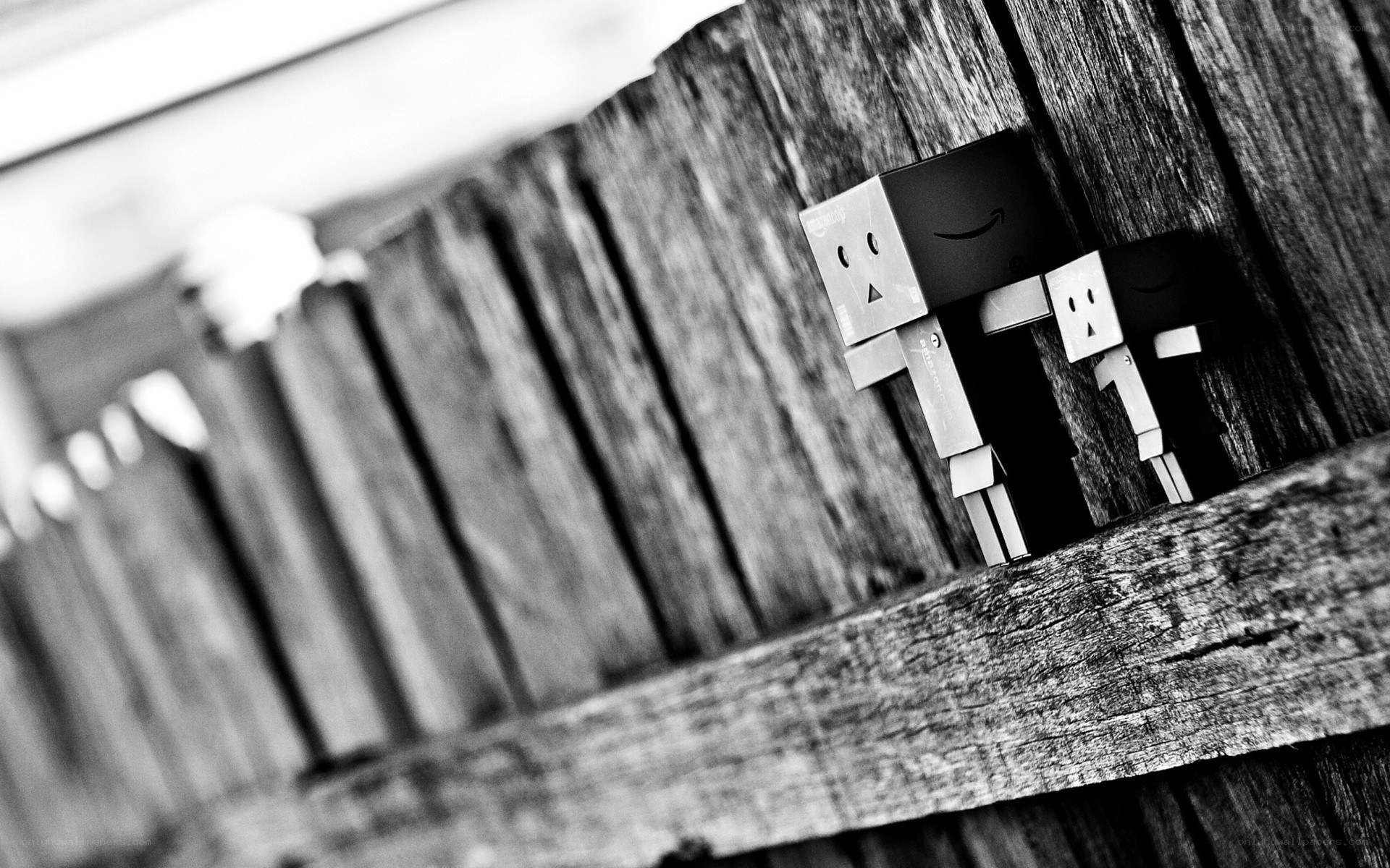 Danbo figures on wood