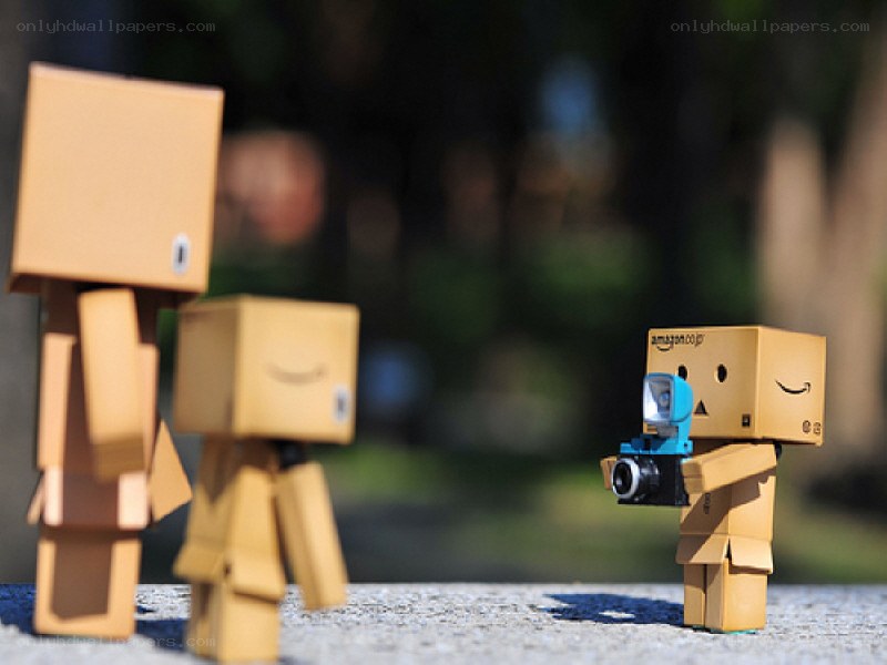 Danbo figures with camera