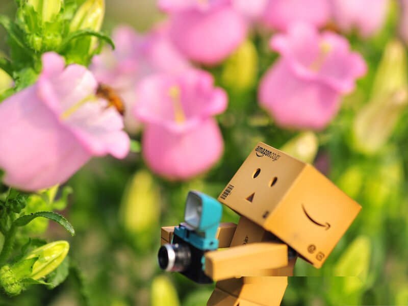 Danbo Figurine with Camera