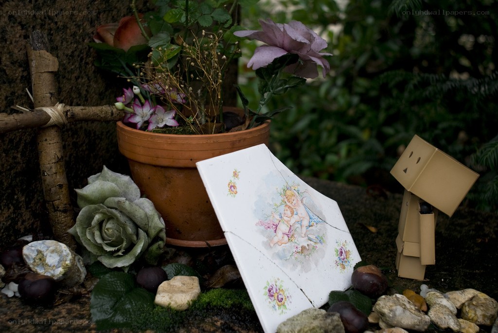 Danbo figurine with flowers