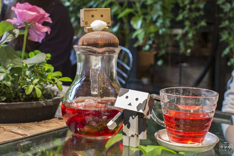 Danbo Figurine with Tea