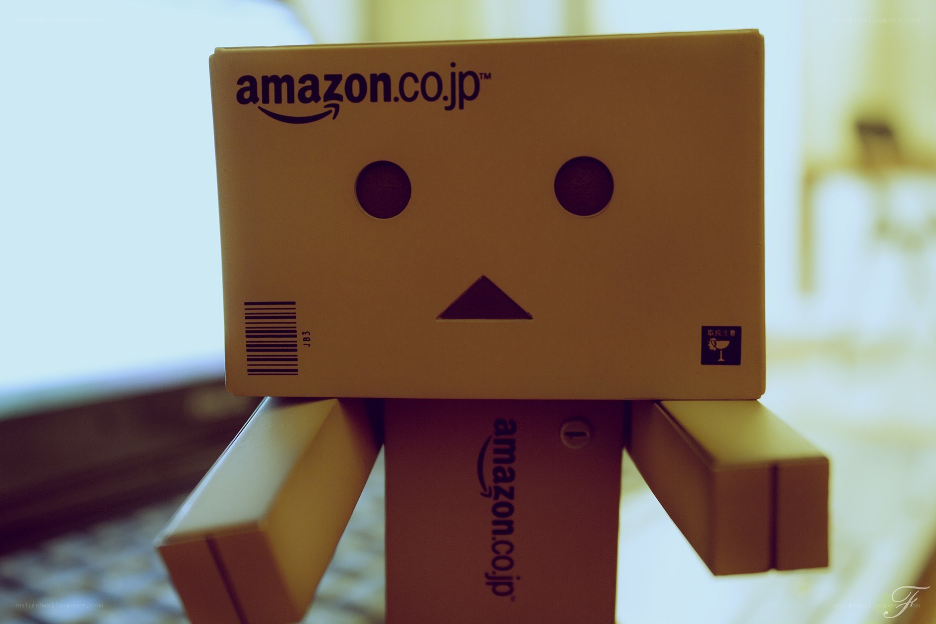 Danbo from Amazon Japan