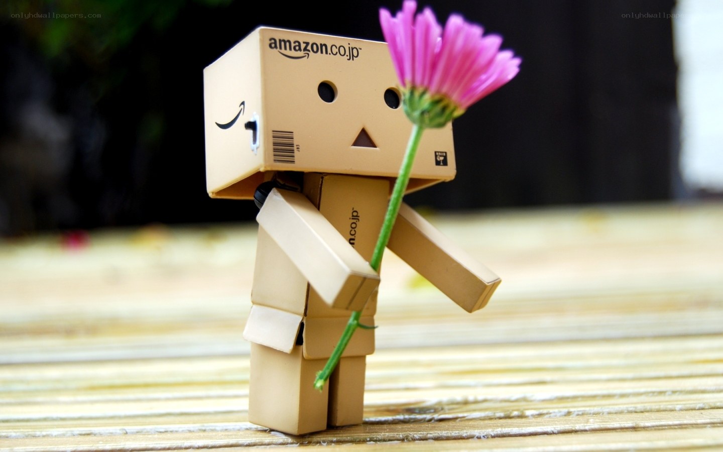 Danbo holding a flower