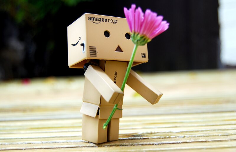 Danbo Holding a Flower — Brown, Calm