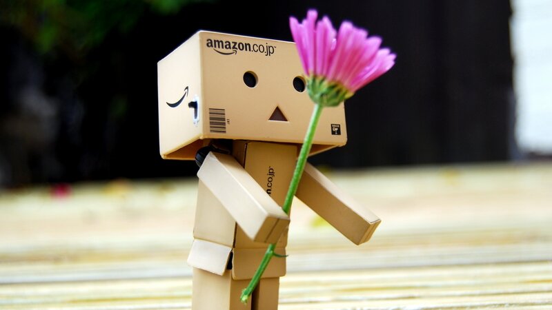 Danbo Holding a Flower — Brown