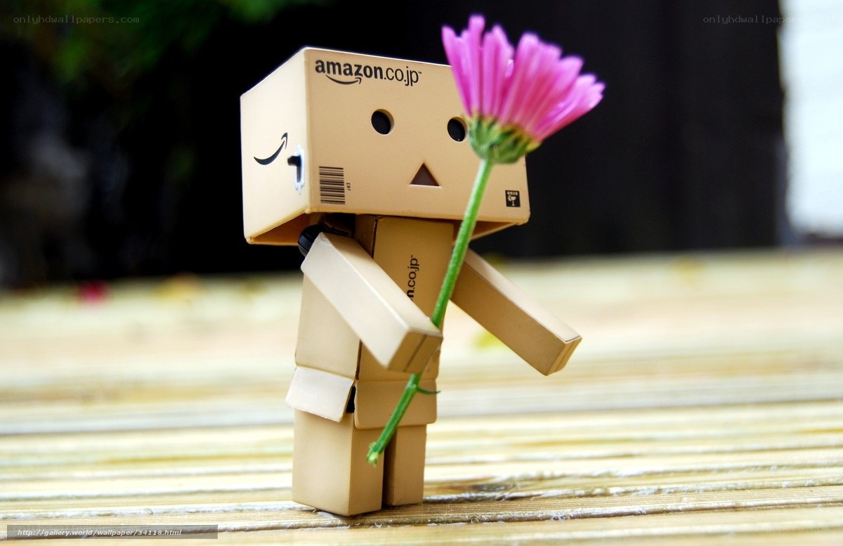 Danbo holding a flower