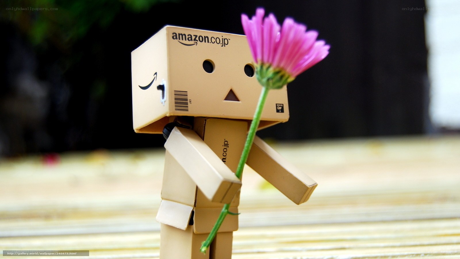 Danbo holding a pink flower
