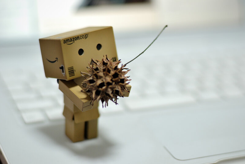 Danbo holding a seed pod